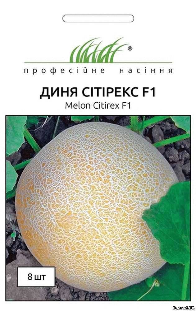Кликните для увеличения изображения Семена дыни «Ситирекс» F1, ТМ Clause Tezier - 8 семян