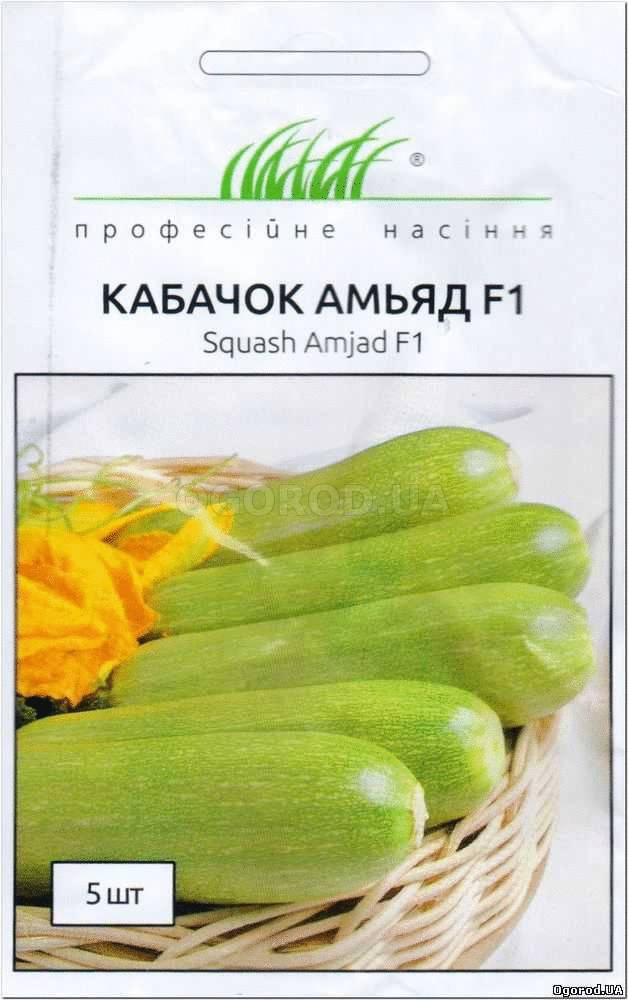 Кликните для увеличения изображения Семена кабачка «Амьяд» F1, ТМ Seminis - 5 семян