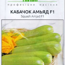 Семена кабачка «Амьяд» F1, ТМ Seminis - 5 семян