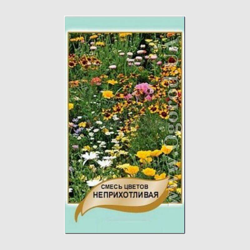 Кликните для увеличения изображения Семена смеси цветов «Неприхотливая», ТМ OGOROD - 2 грамма