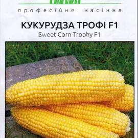 Семена кукурузы «Трофи» F1, ТМ Seminis - 20 семян