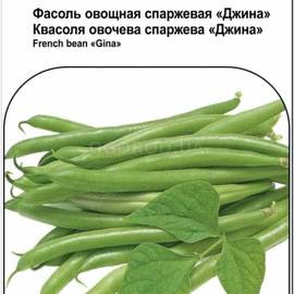 Семена фасоли «Джина», ТМ May Seeds - 10 грамм