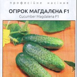Семена огурца «Магдалена» F1, ТМ Seminis - 10 семян