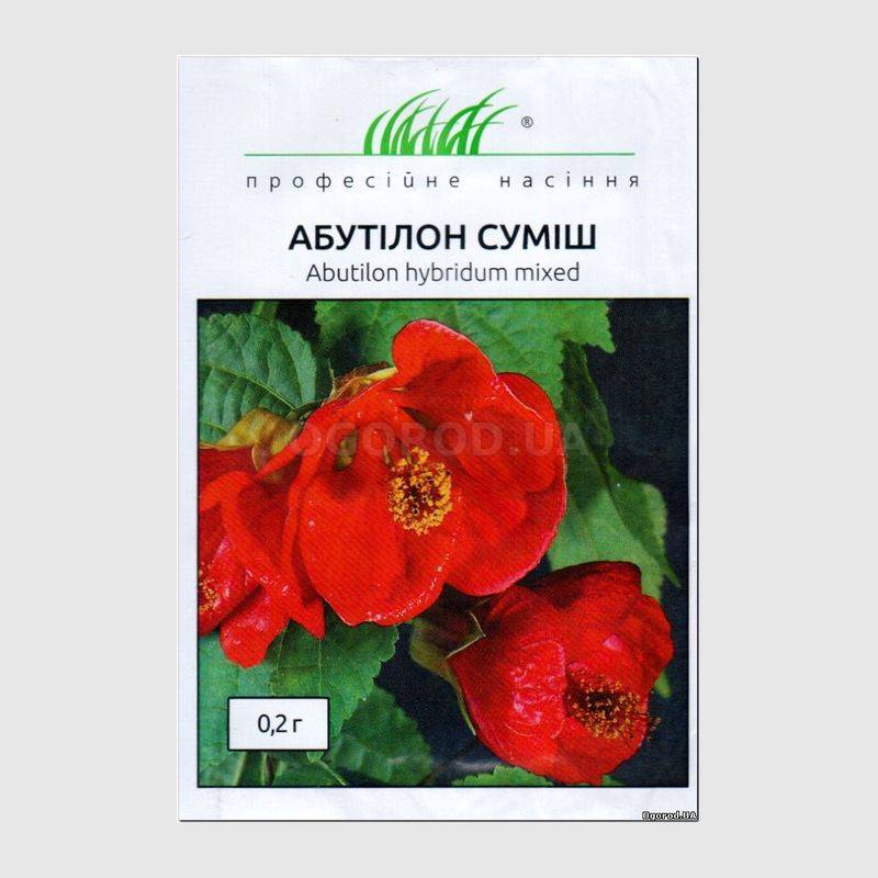 Кликните для увеличения изображения Семена абутилона (смесь), ТМ Hem Zaden - 0,2 грамма