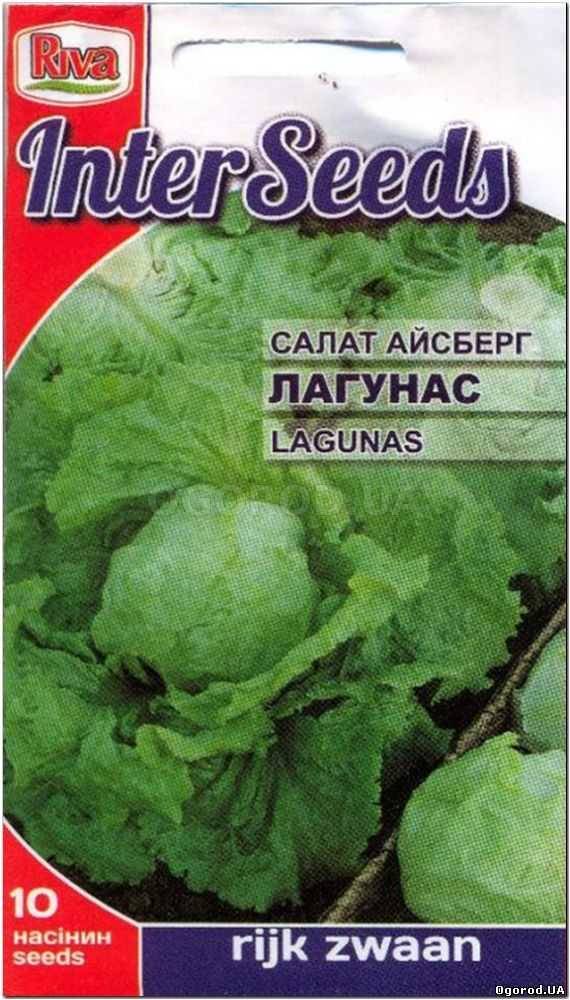Кликните для увеличения изображения Семена салата «Лагунас» (айсберг), ТМ Rijk Zwaan - 10 семян