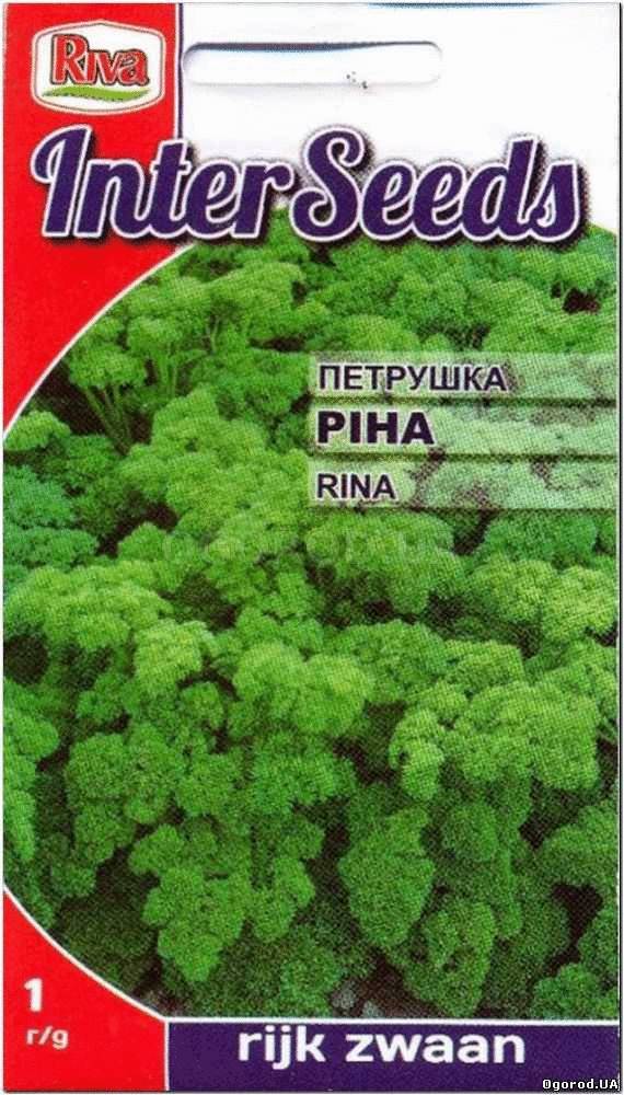 Кликните для увеличения изображения Семена петрушки «Рина», ТМ Rijk Zwaan - 1 грамм