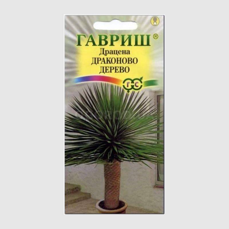 Кликните для увеличения изображения Семена драцены «Драконово Дерево», ТМ «ГАВРИШ» - 3 семечка