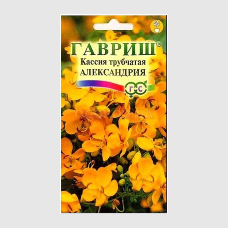 Кликните для увеличения изображения Семена кассии трубчатой «Александрия», ТМ «ГАВРИШ» - 0,6 грамма