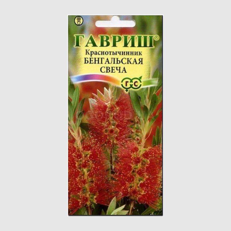 Кликните для увеличения изображения Семена краснотычинника «Бенгальская свеча» / Callistemon lanceolatus, ТМ «ГАВРИШ»