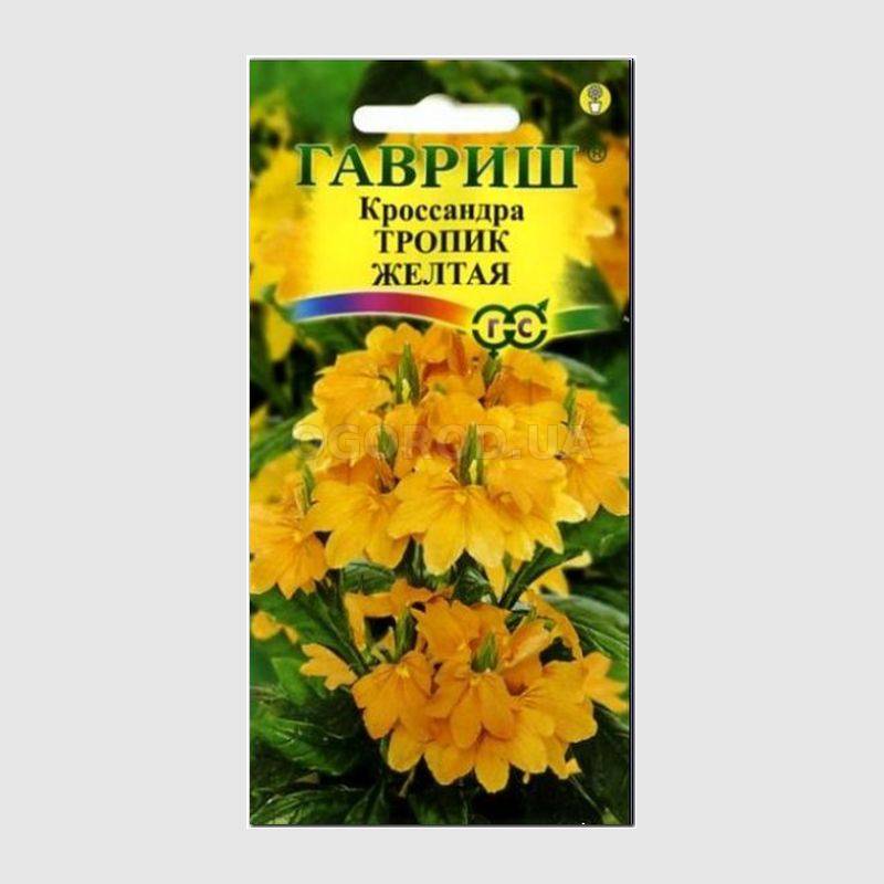 Кликните для увеличения изображения Семена кроссандры «Тропик желтая», ТМ «ГАВРИШ» - 3 семечка