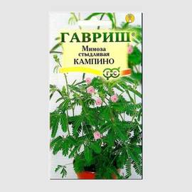 Семена мимозы стыдливой «Кампино» / Mimosa pudica L., ТМ «ГАВРИШ» - 0,1 грамм