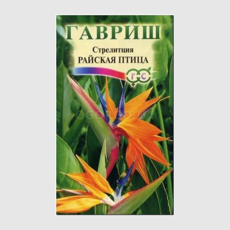 Кликните для увеличения изображения Семена стрелиции «Райская птица», ТМ «ГАВРИШ» - 3 семечка