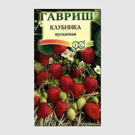 Семена клубники «Мускатная», ТМ «ГАВРИШ» - 0,01 грамма