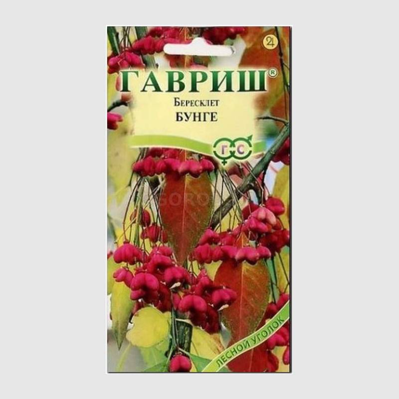 Кликните для увеличения изображения Семена бересклета «Бунге», ТМ «ГАВРИШ» - 0,2 грамма