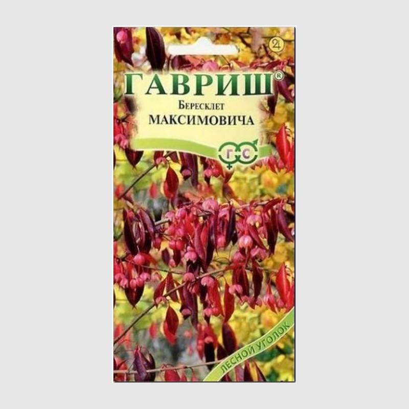 Кликните для увеличения изображения Семена бересклета Максимовича, ТМ «ГАВРИШ» - 0,2 грамма