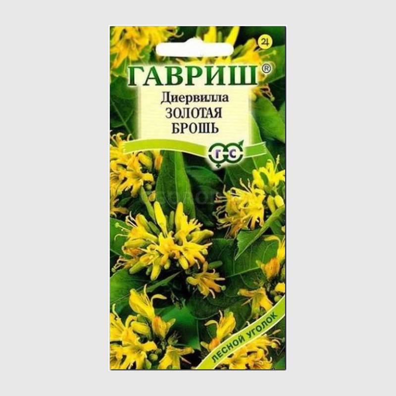 Кликните для увеличения изображения Семена диервиллы сидячецветковой «Золотая брошь», ТМ «ГАВРИШ» - 5 семян