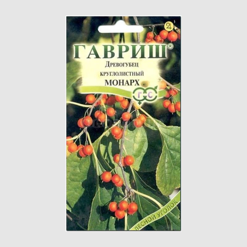 Кликните для увеличения изображения Семена древогубеца круглолистного «Монарх», ТМ «ГАВРИШ» - 0,2 грамма