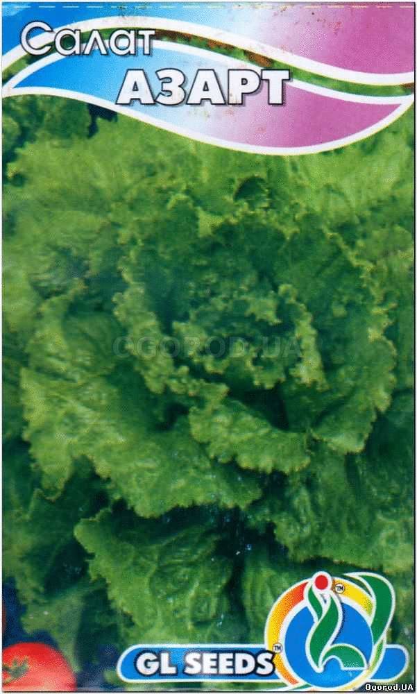 Кликните для увеличения изображения Семена салата «Азарт», TM GL Seeds - 2 грамма
