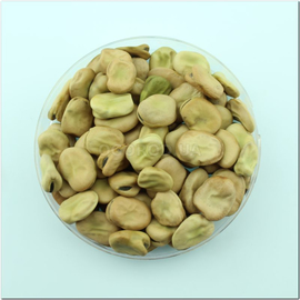 Семена бобов «Виндзорские» (белые), ТМ OGOROD - 100 грамм