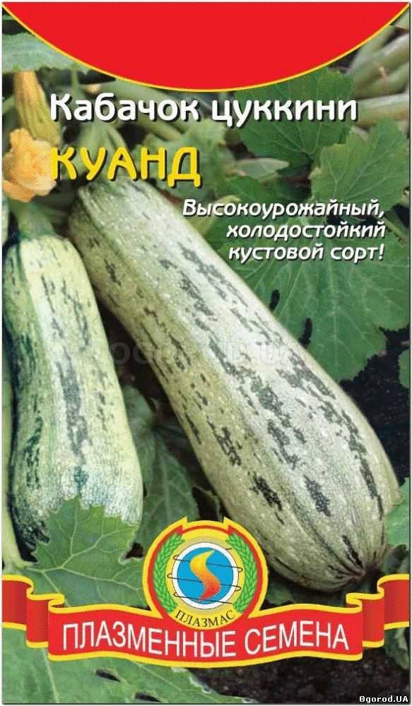 Кликните для увеличения изображения Семена кабачка «Куанд» (цуккини), ТМ «ПЛАЗМЕННЫЕ СЕМЕНА» - 10 семян