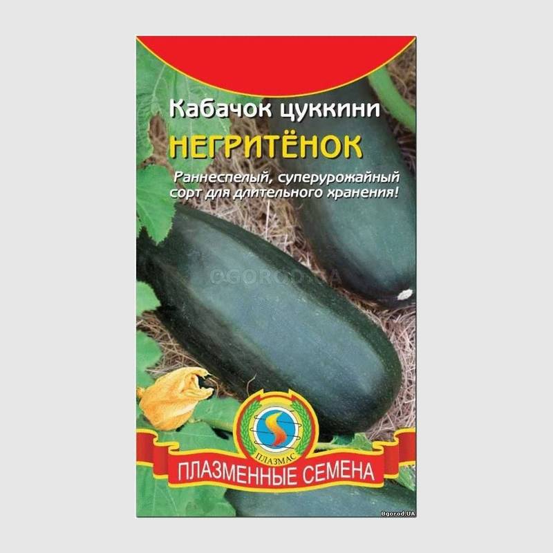 Кликните для увеличения изображения Семена кабачка «Негритенок» (цуккини), ТМ «ПЛАЗМЕННЫЕ СЕМЕНА» - 10 семян