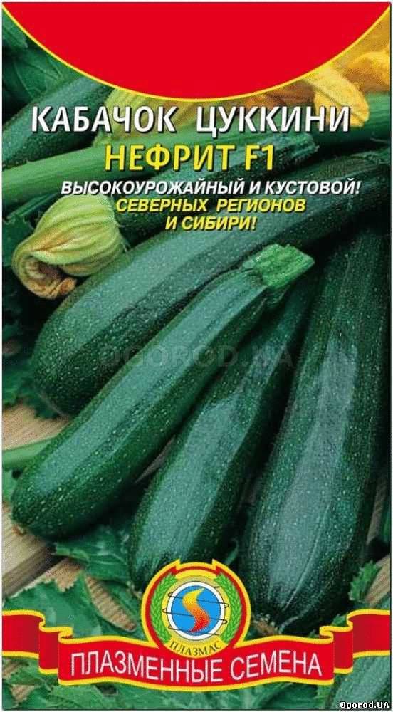 Кликните для увеличения изображения Семена кабачка «Нефрит» (цуккини) F1, ТМ «ПЛАЗМЕННЫЕ СЕМЕНА» - 1 грамм