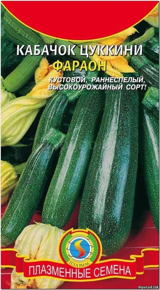 Кликните для увеличения изображения Семена кабачка «Фараон» (цуккини), ТМ «ПЛАЗМЕННЫЕ СЕМЕНА» - 10 семян