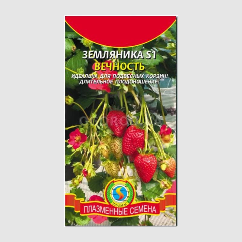 Кликните для увеличения изображения Семена земляники «Вечность» S1, ТМ «ПЛАЗМЕННЫЕ СЕМЕНА» - 10 семян