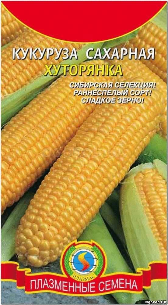 Кликните для увеличения изображения Семена кукурузы сахарной «Хуторянка», ТМ «ПЛАЗМЕННЫЕ СЕМЕНА» - 6 семян