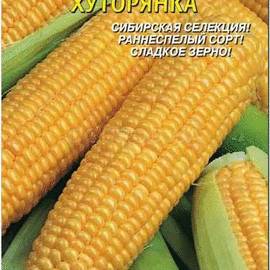 Семена кукурузы сахарной «Хуторянка», ТМ «ПЛАЗМЕННЫЕ СЕМЕНА» - 6 семян