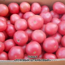 Семена томата «Розовый штамбовый», ТМ OGOROD - 200 семян