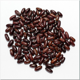Семена фасоли «Сюита», ТМ OGOROD - 100 грамм