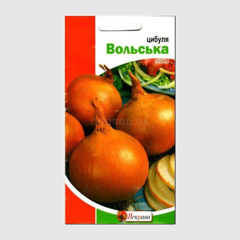Кликните для увеличения изображения Семена лука «Вольский» (репчатый), ТМ «Яскрава» - 1 грамм
