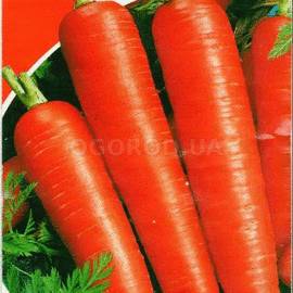 Семена моркови «Детская сладкая», ТМ «Яскрава» - 3 грамма
