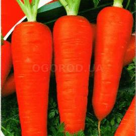 Семена моркови «Зимняя вкусная», ТМ «Яскрава» - 3 грамма