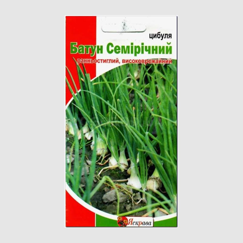 Кликните для увеличения изображения Семена лука «Семилетний» (батун), ТМ «Яскрава» - 1 грамм
