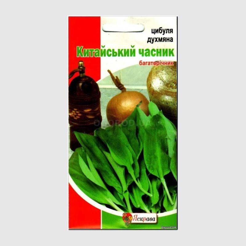 Кликните для увеличения изображения Семена лука «Китайский чеснок» (душистый), ТМ «Яскрава» - 0,5 грамм