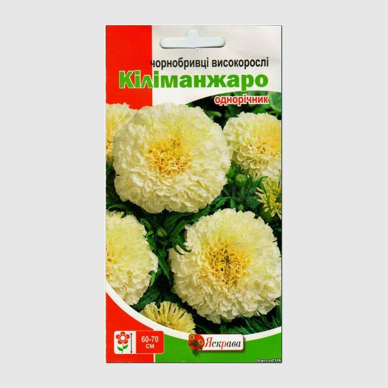 Кликните для увеличения изображения Семена бархатцев «Килиманджаро», ТМ «Яскрава» - 0,5 грамма