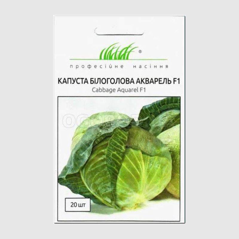 Кликните для увеличения изображения Семена капусты белокочанной «Акварель» F1, ТМ Nunhems - 20 семян