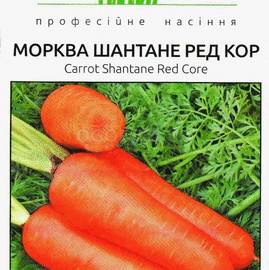 Семена моркови «Шантанэ Рэд Кор», ТМ United Genetics (Италия) - 1 грамм