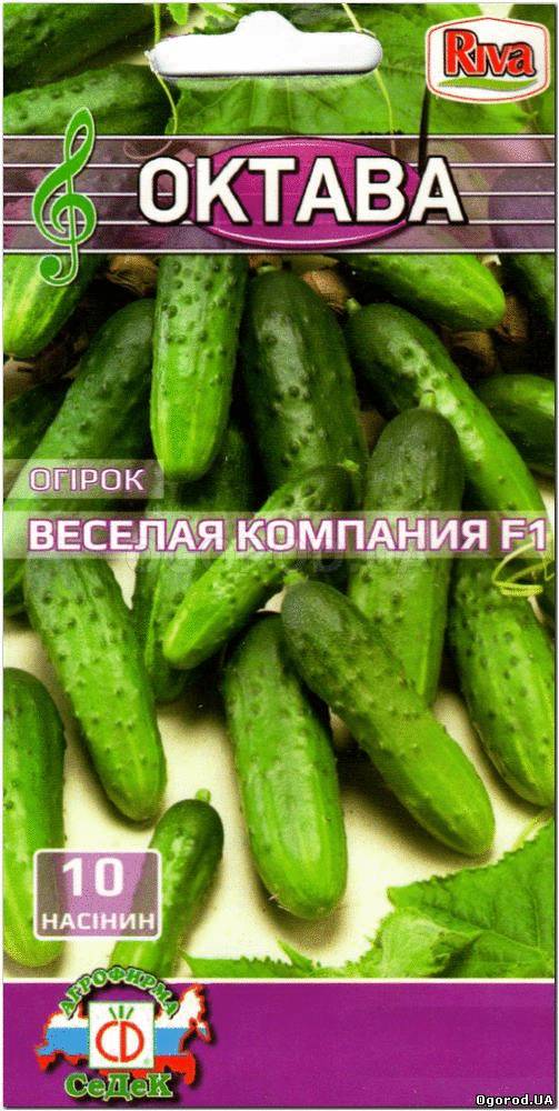 Кликните для увеличения изображения Семена огурца «Веселая компания» F1, ТМ «СеДеК» - 10 семян