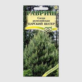 Семена сосны румелийской «Царский шатёр» / Pinus peuce, ТМ «ГАВРИШ» - 0,2 грамма