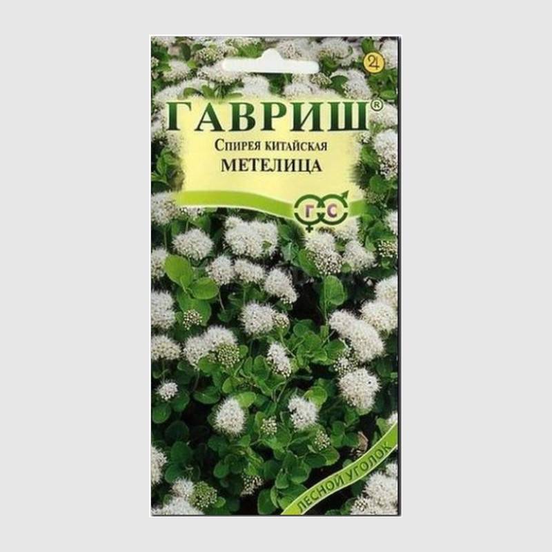 Кликните для увеличения изображения Семена спиреи китайской «Метелица», ТМ «ГАВРИШ» - 0,02 грамма