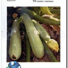 Семена кабачка «Сангрум» F1 / Sungroom F1, ТМ «Nunhems» - 10 семян