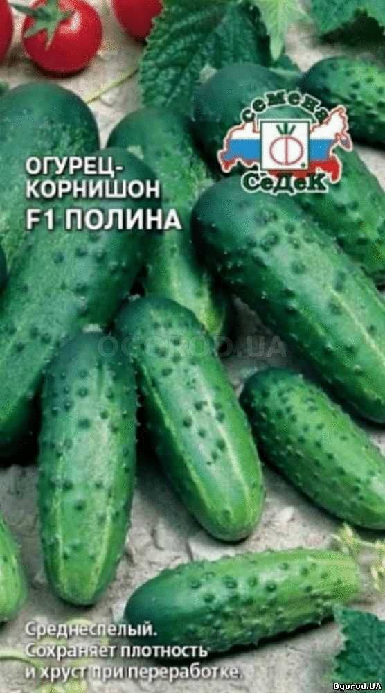 Кликните для увеличения изображения Семена огурца «Полина» F1, ТМ «СеДеК» - 10 семян