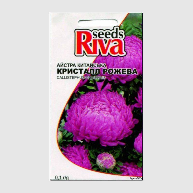 Кликните для увеличения изображения Семена астры розовой «Кристалл», ТМ Kitano seeds - 0,1 грамм