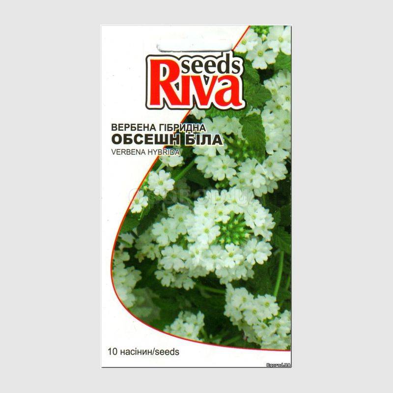 Кликните для увеличения изображения Семена вербены белой «Обсешн», ТМ Syngenta - 10 семян