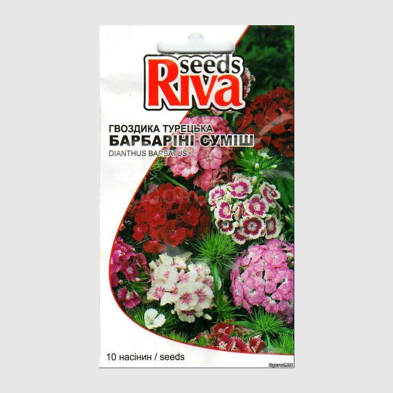 Кликните для увеличения изображения Семена гвоздики «Барбарини» смесь, ТМ Syngenta - 10 семян