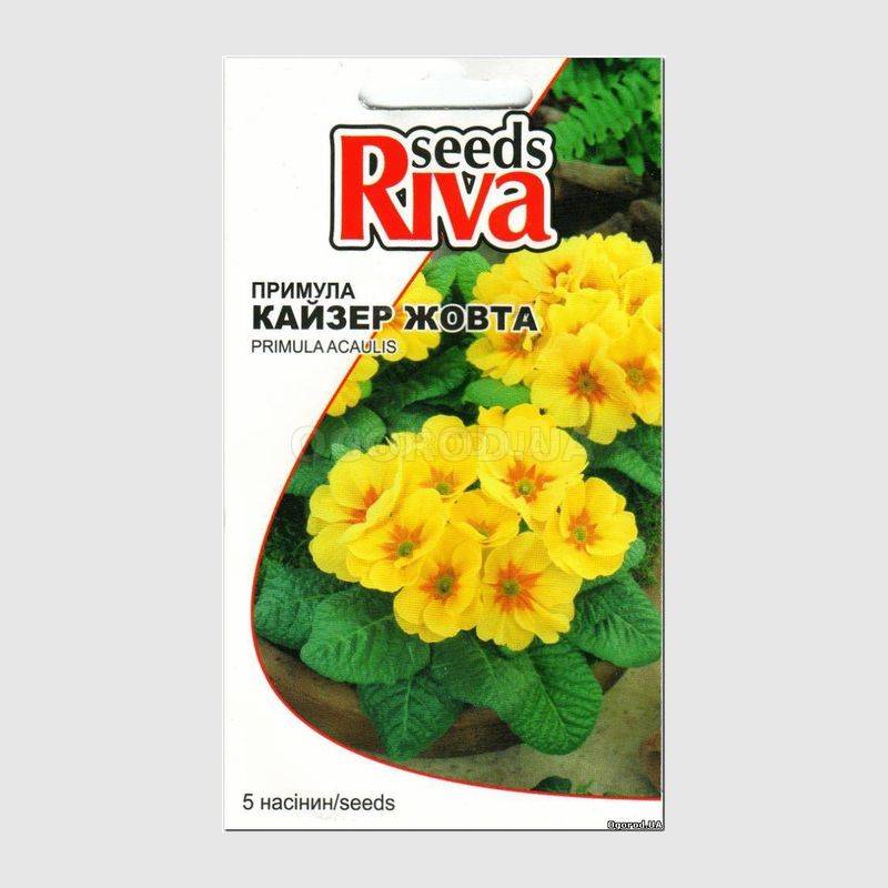 Кликните для увеличения изображения Семена примулы желтой «Кайзер», ТМ Kitano - 5 семян