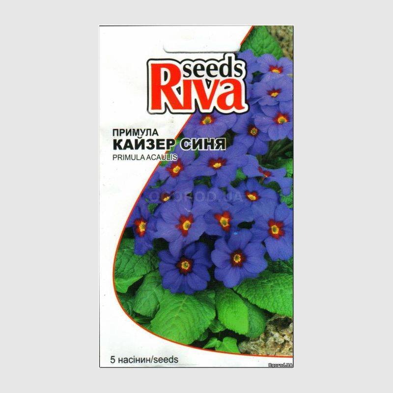 Кликните для увеличения изображения Семена примулы синей «Кайзер», ТМ Kitano - 5 семян